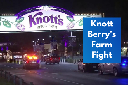 knott berry farm fight