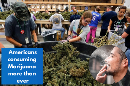 Americans Are Smoking Marijuana More Than Cigarettes For The First Time Ever, New Poll Shows